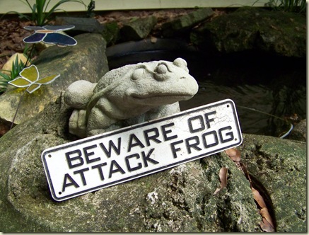 Our Nature: Guard Frogs